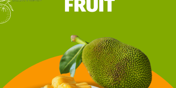 FACT OF THE DAY! THE BIGGEST FRUIT IN THE WORLD