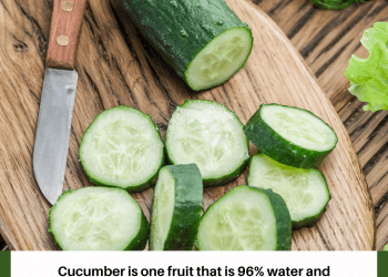 FACT OF THE DAY (CUCUMBER)